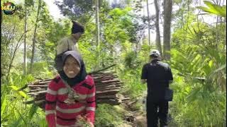 A GREAT AND UNIQUE GIFT!!! For the wife with lots of lice.