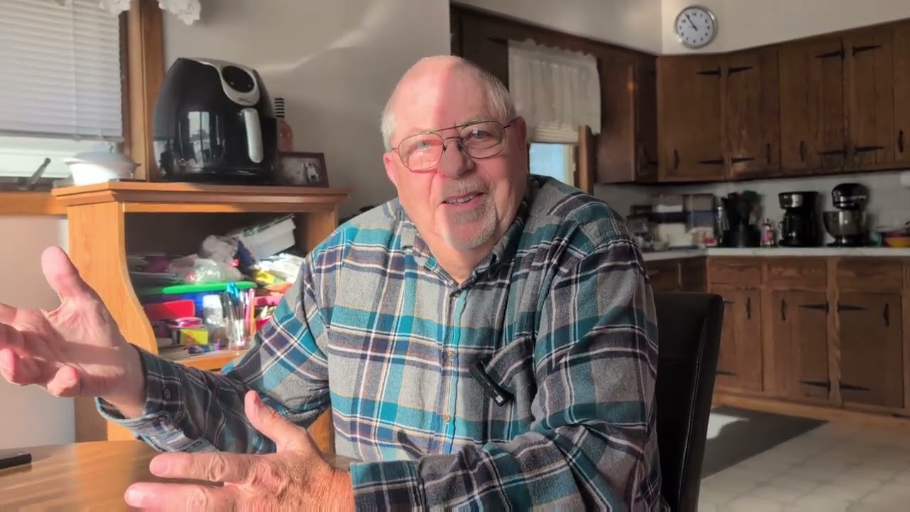  A big red barn with little brown cows, with a neighborhood of neighbors helping neighbors 
