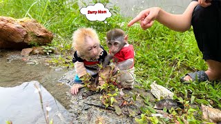 So funny! Monkey Momo and Nana went to the garden to find their mother and get dirty!Family Mo & Na