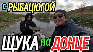 Ловим🎣 ЩУКУ на ДОНЦЕ с Рыбацюгой