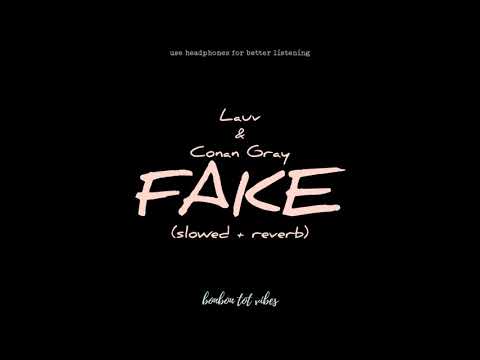 Lauv Conan Gray Fake Slowed Reverb Lyrics