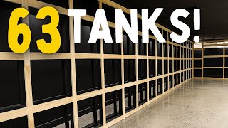 The First Wall Rises! – Building Our Dream Aquarium Store
