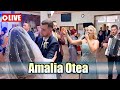 Amalia otea  colaj jiene live 2023  nunt denisa  alex