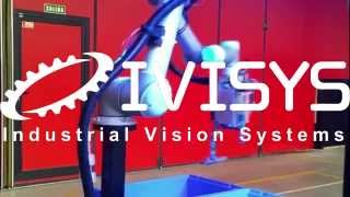 IVISYS Bin Pick & Check