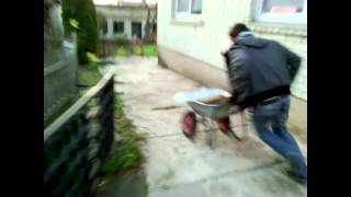 The Cart-Ground Kissing