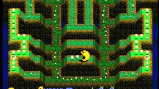 Pac-Man Arrangement(GBA)