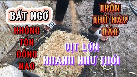 Bất ngờ khi trộn thứ này vào cho vịt ăn lớn nhanh như thổi