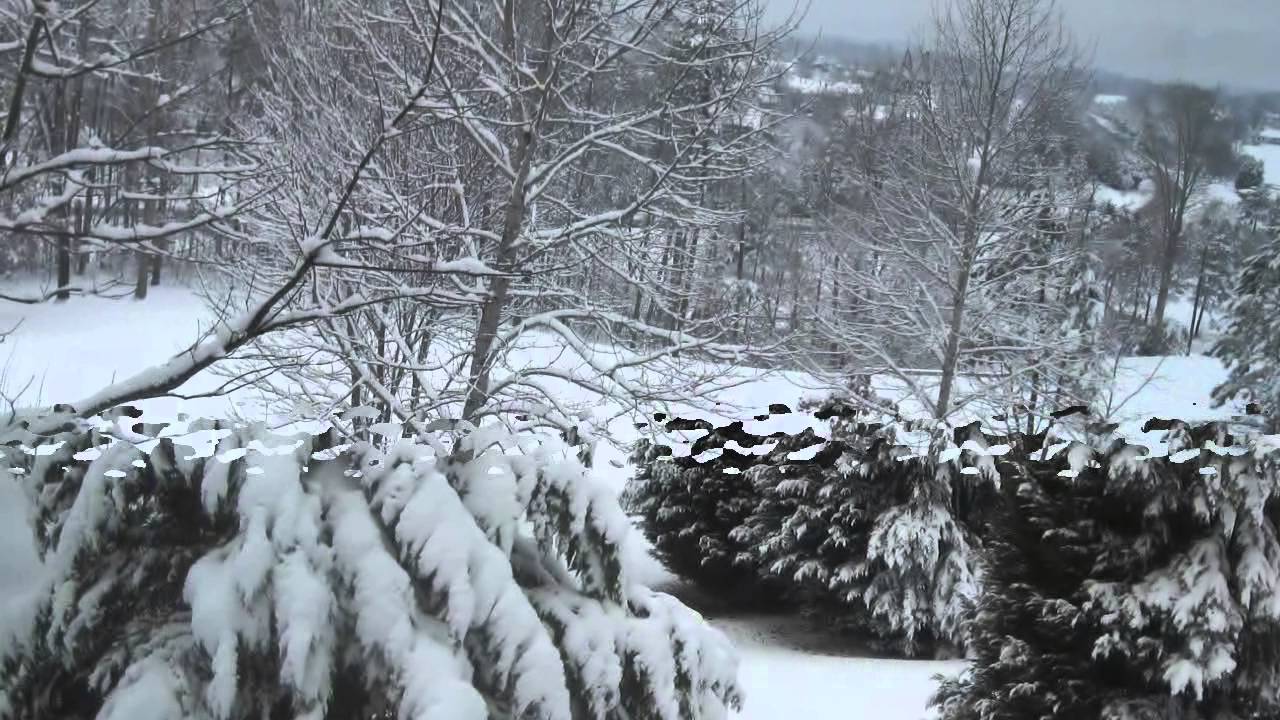 Tellico Village Snowfall Feb. 2014 YouTube