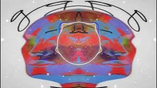 𝐋𝐀𝐍𝐘 - 𝐝𝐧𝐚 (YAM Remix)