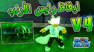 Blox Fruits 🐇 ايقاظ رايس الأرنب فيرجن 4 وموعد نزول لعبتى الجديدة screenshot 3