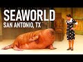 Walrus and sealions show at SeaWorld San Antonio, Texas