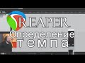 REAPER - Определение темпа / переменный темп