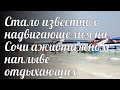 Стало известно о надвигающемся на Сочи ажиотажном наплыве отдыхающих