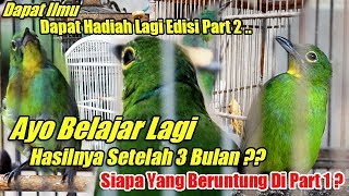 Download Lagu Contoh Video Ciri Cucak IJo Muda Jantan dan Betina | Part 2 Belajar + Dapat Hadiah MP3