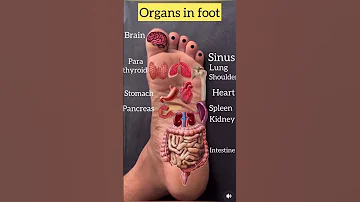 What Is Foot Reflexology Foot Massage And Benefits How To Do Foot Reflexology Step By Step 