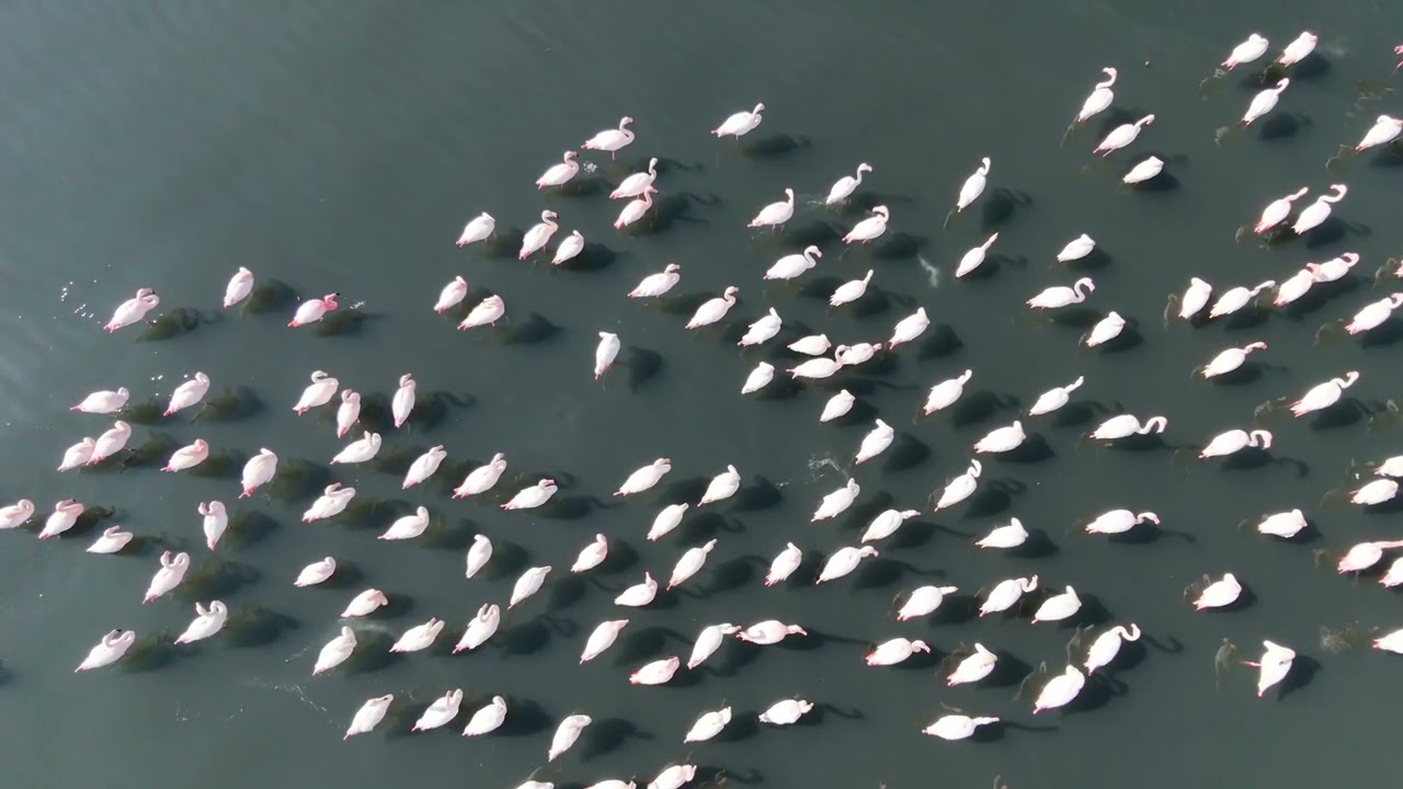 Θεσσαλονικη dji  neo 2 2026