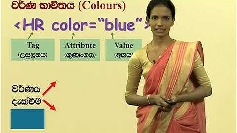 ICT 11ශ්‍රේණිය වෙබ් පිටු නිර්මාණය HTML