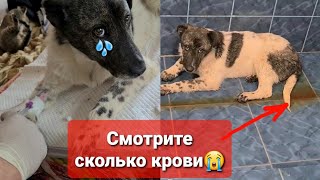 :         ,    !