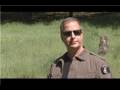 Dog Breeds & Dog Training : How to House-Train a Puppy If You Work All Day Dog Breeds & Dog Training : How to House-Train a Puppy If You Work All Day