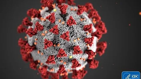 COVID-19 (Coronavirus Disease 19)-causes, symptoms,treatment, pathology( WATCH THIS NOW)