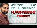 Human Genome Project | Molecular basis of Inheritance