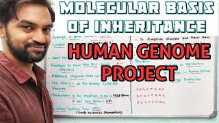 Human Genome Project Molecular Basis Of Inheritance