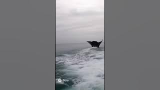 Unexpected footage #18