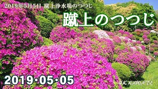蹴上のつつじ 19 4k Youtube