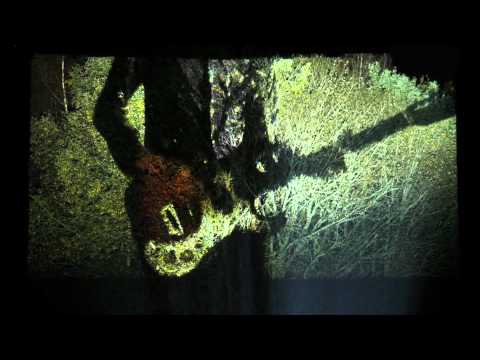 Le Corbeau (2) — Le Corbeau - Yvette Rosemont