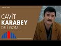 Deli Gönül - Cavit Karabey (Official Video)