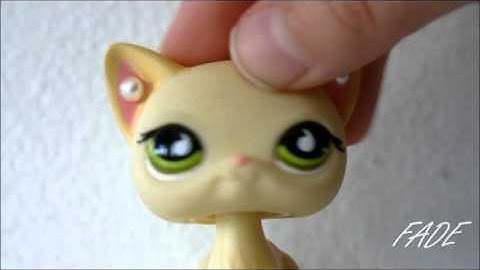 LPS: MEP Part 5 For izzeh