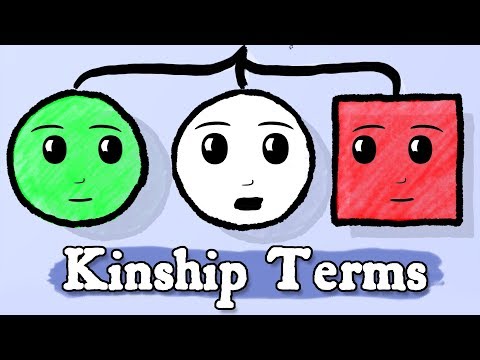 Video: How Many Kinship Terms Do You Know