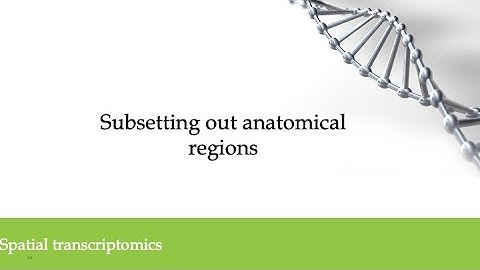 7 Visium data (2024): Subsetting out anatomical regions