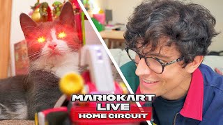 My Kitten LOVES Mario Kart Live: Home Circuit