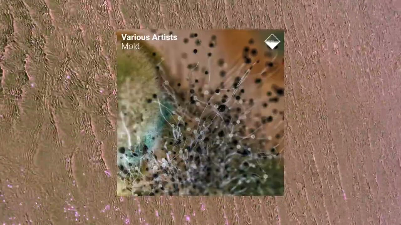 Watch Alessandro Barbanera - Mold on YouTube Watch Alessandro Barbanera - Mold on YouTube