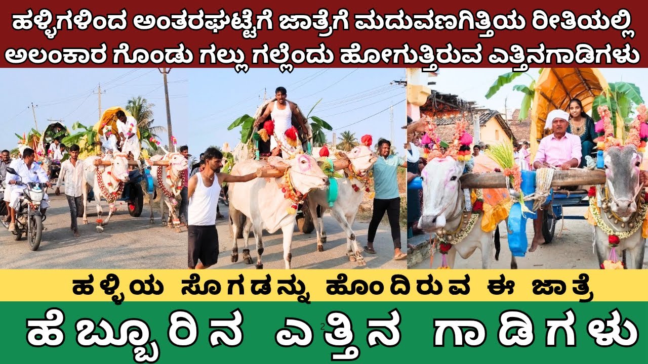 ಹಳ್ಳಿಗಳಿಂದ ಅಂತರಘಟ್ಟೆಗೆ ಜಾತ್ರೆಗೆ ಮದುವಣಗಿತ್ತಿಯ ರೀತಿಯಲ್ಲಿ ಅಲಂಕಾರಗೊಂಡು ಹೋಗುತ್ತಿರುವ ಹಳ್ಳಿಯ ಎತ್ತಿನಗಾಡಿಗಳು