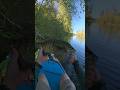 More senko action on the spinning rod. #bassfishing