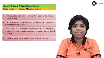 Shared Memory System