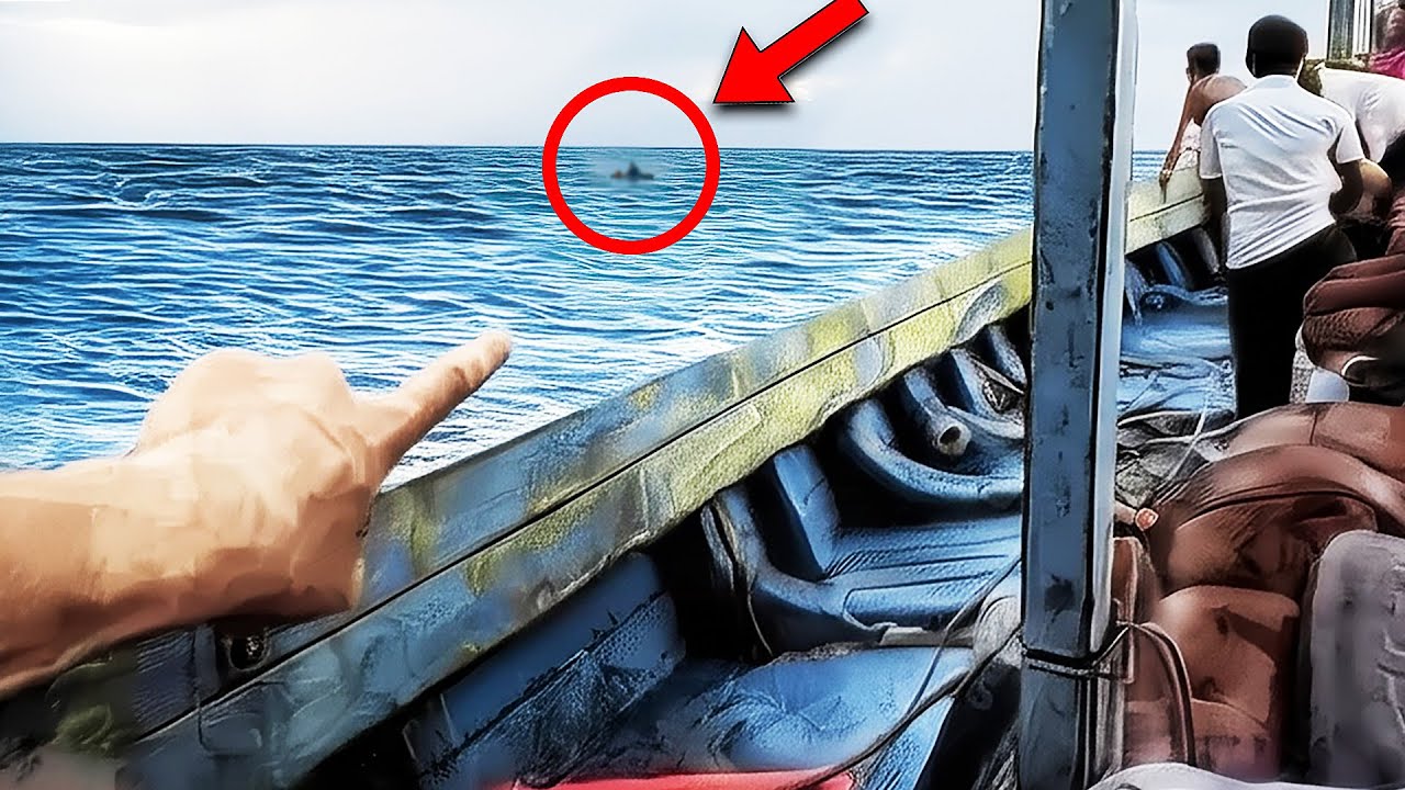 The Sailors Turned Pale When They Saw Something Appear In The Middle Of The Ocean!