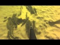 Подводная охота на налима. 10.02.2015 Енисей, Братский мост