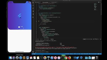 Flutter Login Screen UI with Animation Part 2
