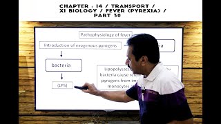 ¬Chapter : 14 / Transport / XI Biology / Fever (Pyrexia) / Part 30