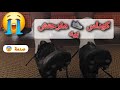 رابع حداء👟 من نوع حديد لي كنشري وصدمة في آخر الفيديو 🥹😭 والله متوقع إكون هاكا😢