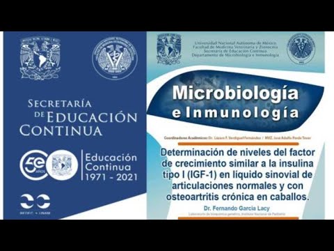 Vídeo: Diabetes Y Factor De Crecimiento Similar A La Insulina (IGF): ¿hay Algún Vínculo?