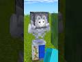 Zombie Pranked The Skeleton #minecraft