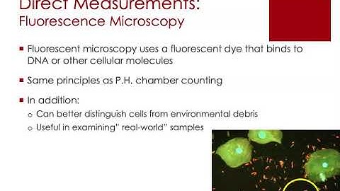 Measuring Microbial Growth (#1of4)