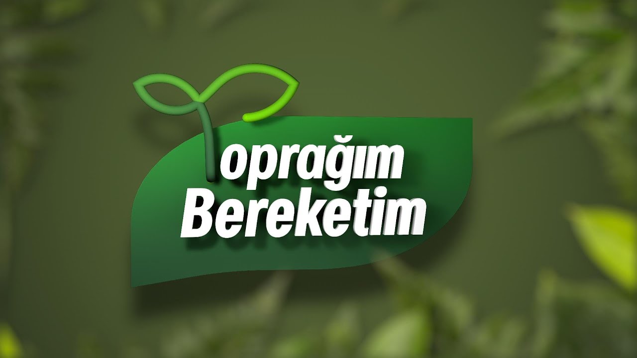 28/11/2020 TOPRAĞIM BEREKETİM -  BAHÇE BUDAMA
