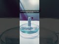 Video Image