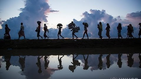 Spore Part 4: The Great Migration