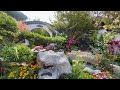 HONG KONG FLOWER SHOW 2025 | GARDEN PLOT DISPLAY | TAI PO DISTRICT | JOY WANDERS